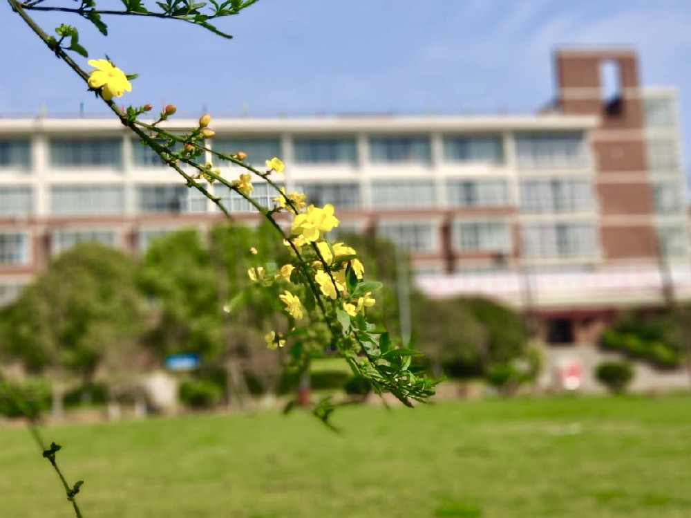 武汉德中城市技工学校校园一角