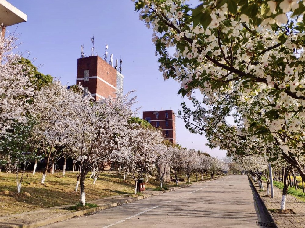 武汉德中城市技工学校校园一角