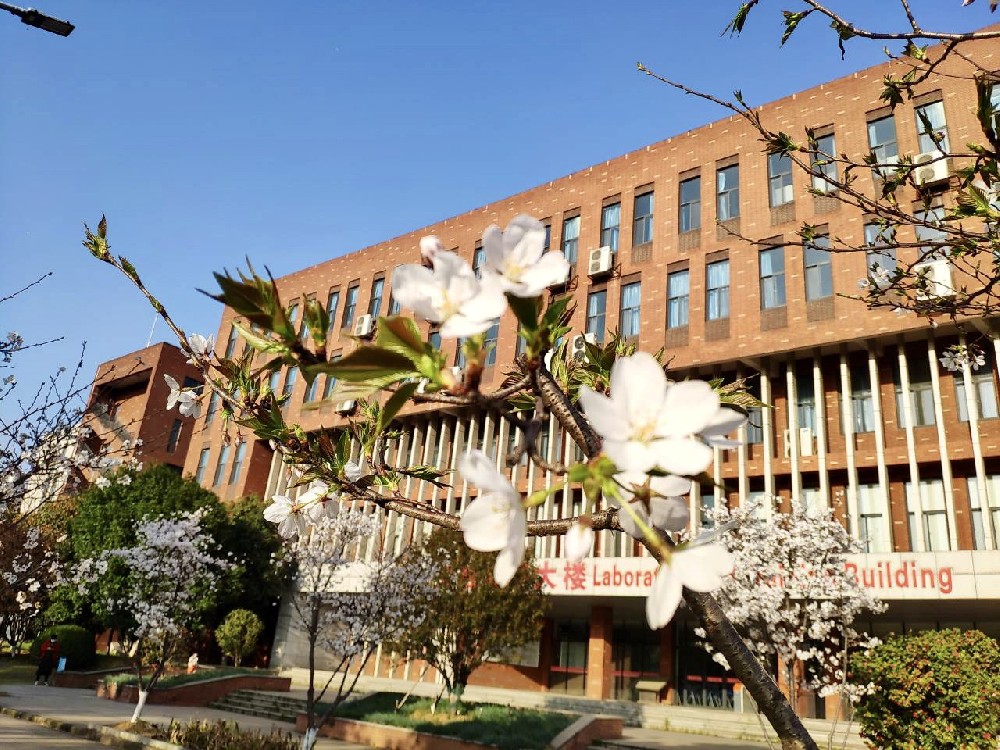武汉德中城市技工学校2024年招生报读须知